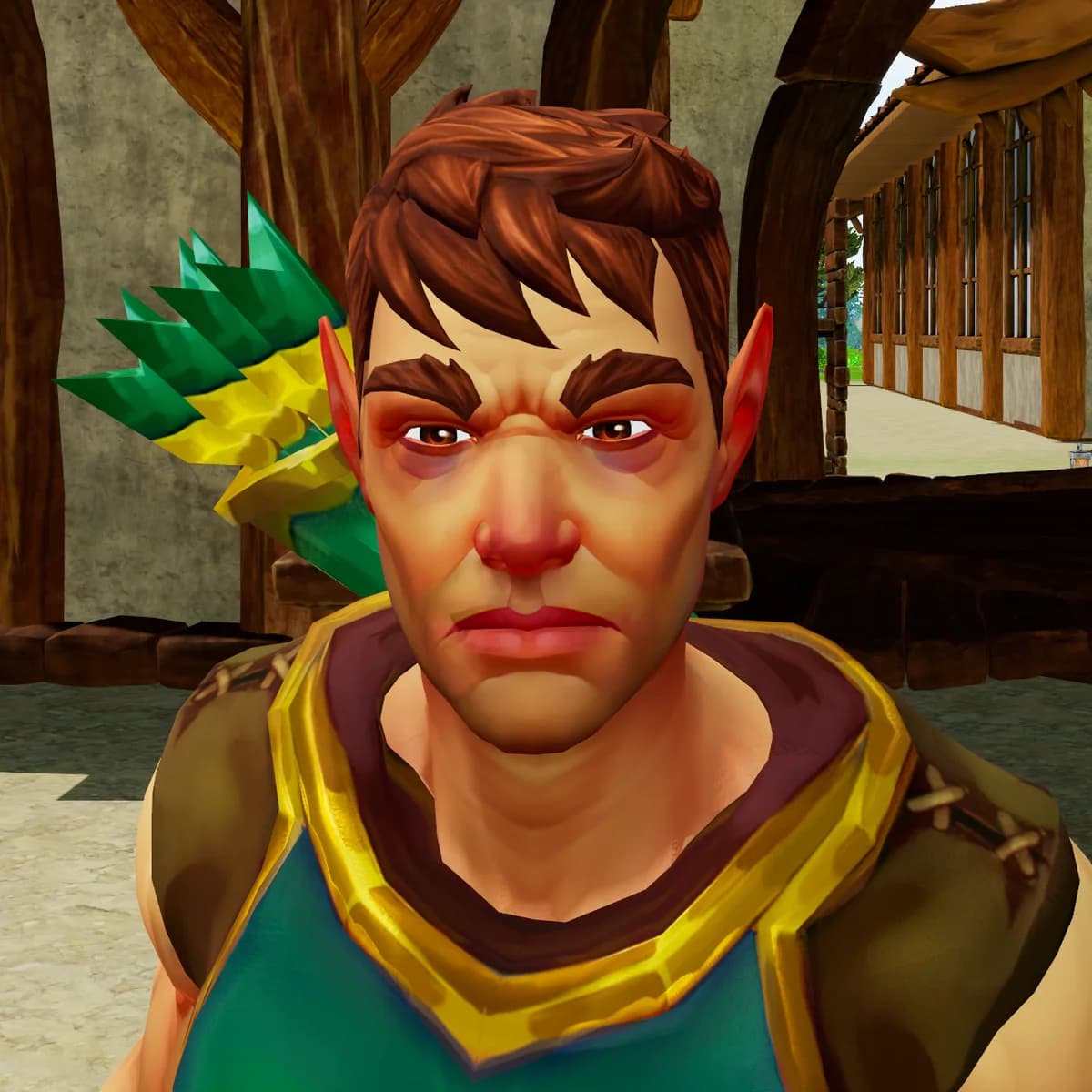 Un’elfa di Hibernia